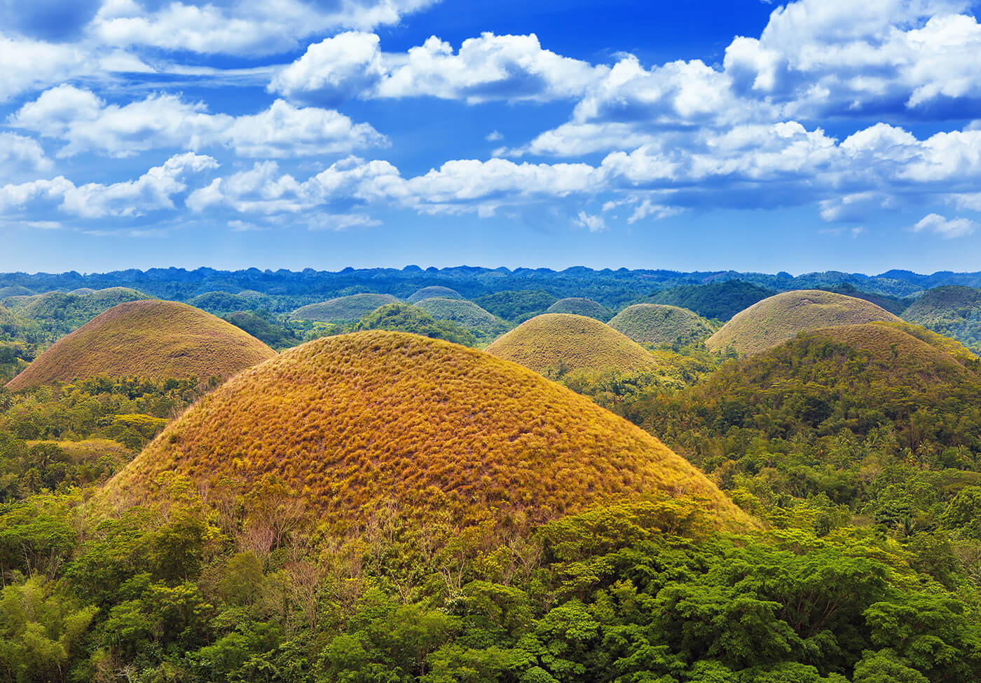 Bohol